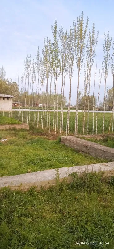Ер учаска сотилади 7