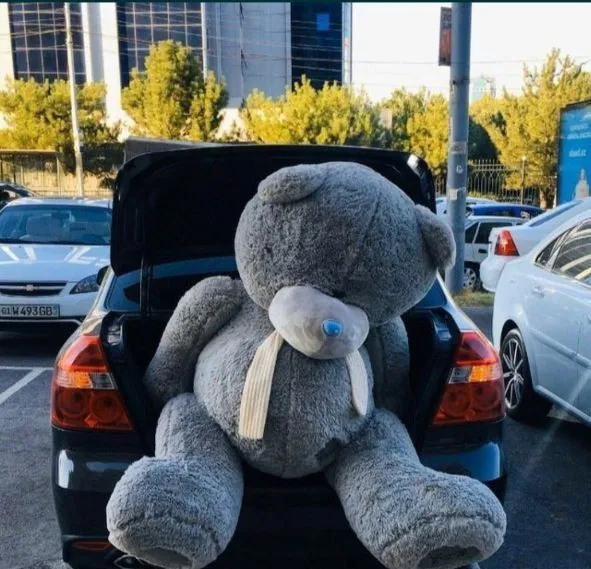 Медведь Teddy тедди 5 Медведь Teddy тедди 5