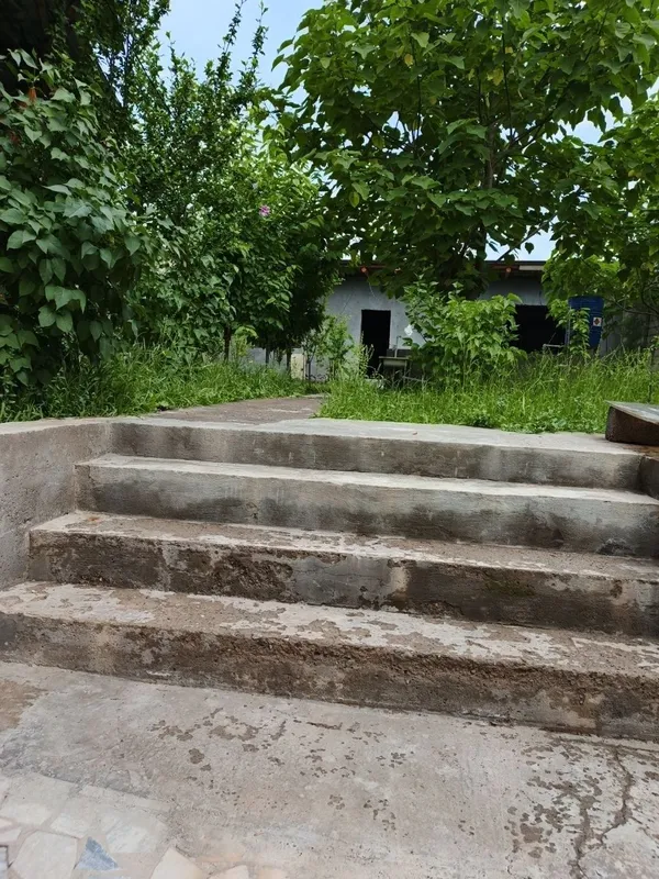 СВОЯ! СРОЧНО ПРОДАЁТСЯ УЮТНАЯ ДАЧА В Далаховли недалеко от Янги Узбеки — фото 4