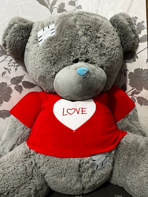 Tedi ayiq