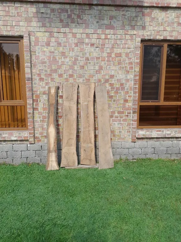 Слэб дубовый 400 $ 2