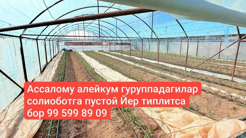 теплица 3 теплица 3