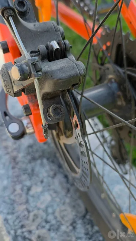 Scott Roxter 20, bolalar velosipedi 5 Scott Roxter 20, bolalar velosipedi 5