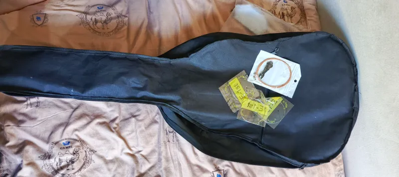 ispanski gitara 2
