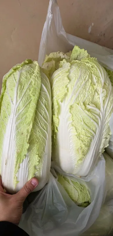 Qizla arzon bervoramza korila 1 Qizla arzon bervoramza korila 1