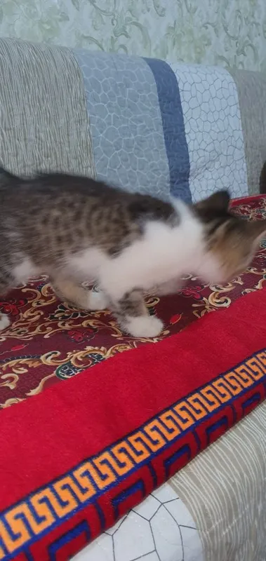 Yaxshi qo‘llarga beramiz 3 Yaxshi qo‘llarga beramiz 3