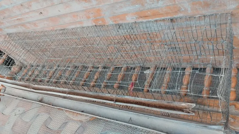 Tovuq setka qafas sotiladi tovuq boqishga Tovuq setka qafas sotiladi tovuq boqishga