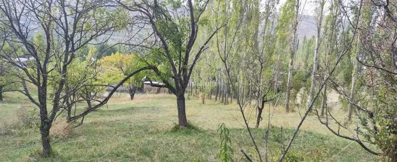 Продаётся участок в Чимгане — фото 1