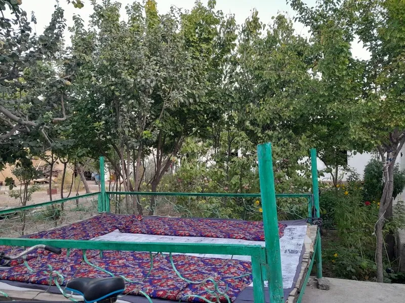 Zarafshon shahar Miraj 1 anorzor ko‘chasidan dala hovli sotiladi 1 Zarafshon shahar Miraj 1 anorzor ko‘chasidan dala hovli sotiladi 1