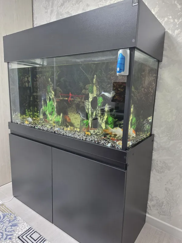 Yangi Akvarium sotiladi ! 1 Yangi Akvarium sotiladi ! 1