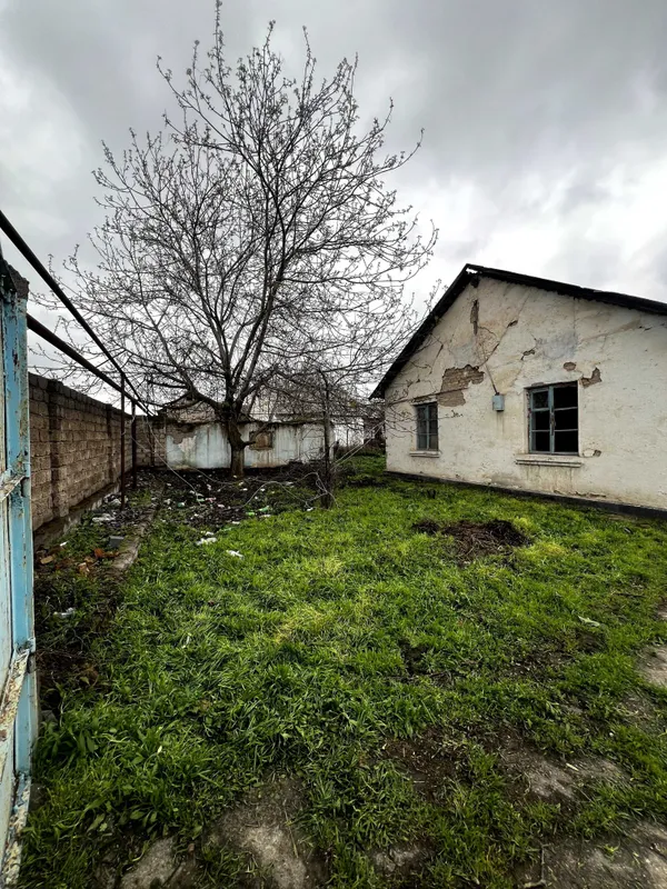 Продается дом в Ташкентской области — фото 3 Продается дом в Ташкентской области — фото 3