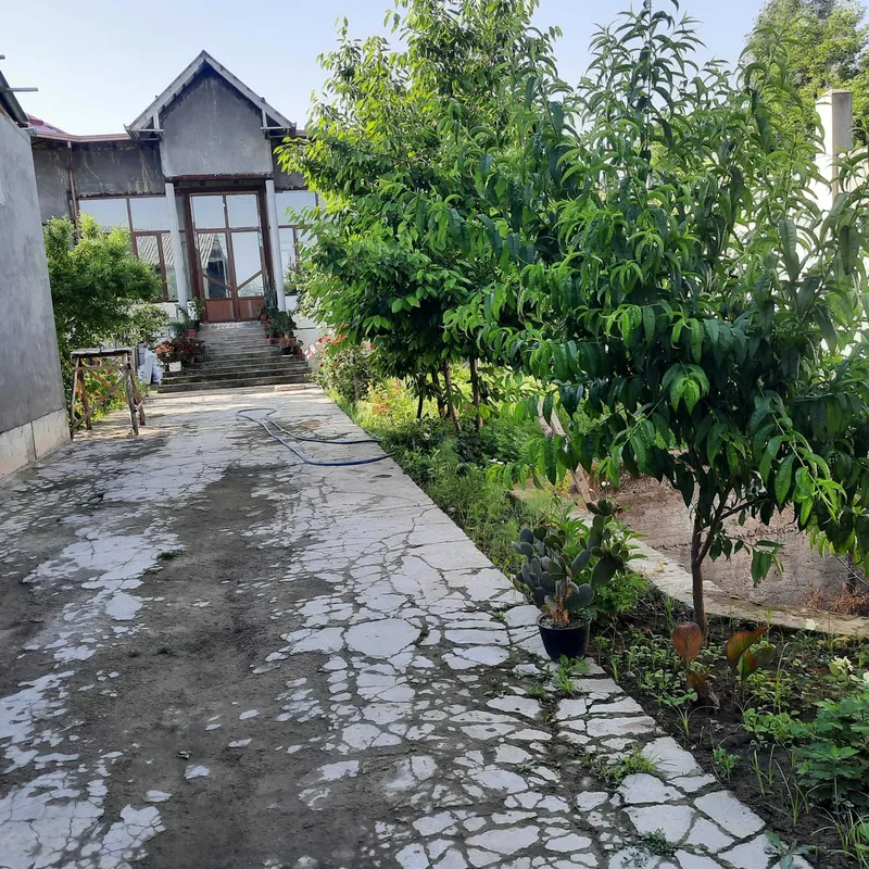Ховли сотилади 6 сотих Бордонкул Шафоат куча 43 — фото 1