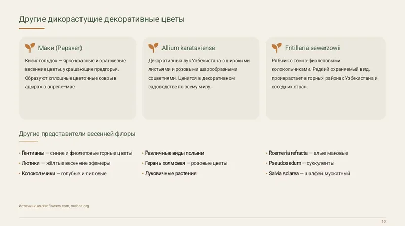 《Презентация》canva, PowerPoint word, pdf сделаю — фото 5 《Презентация》canva, PowerPoint word, pdf сделаю — фото 5