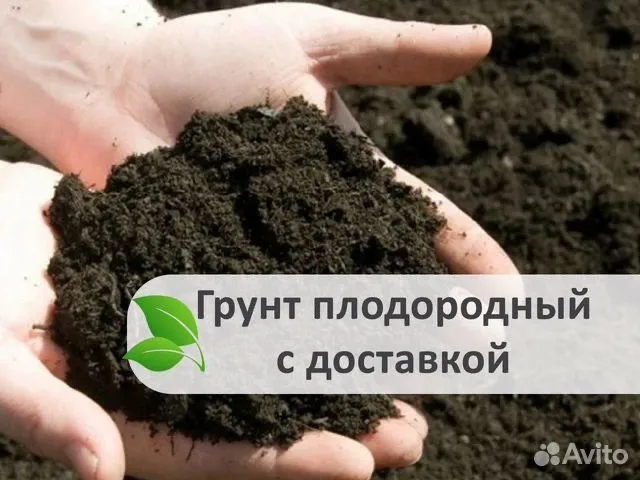 Биогомус Чернозем Оптом — фото 2
