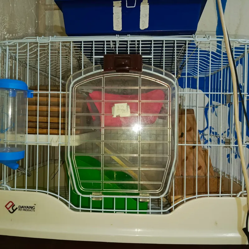 клетка клетка