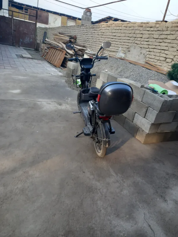 sukutir sotiladi pul zarur yurib turgan xolat zo‘r — фото 3