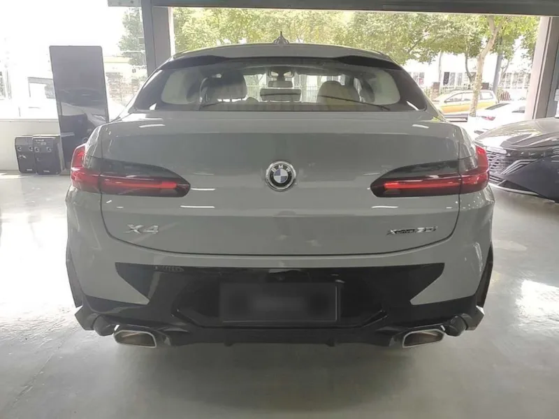 BMW X4 xDrive 30i M Sport Package — фото 3
