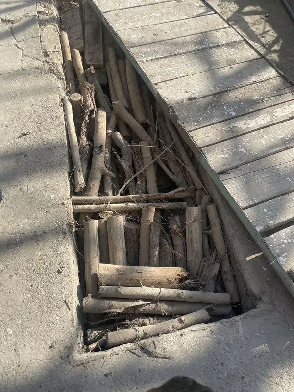 Дрова продаётся — фото 1
