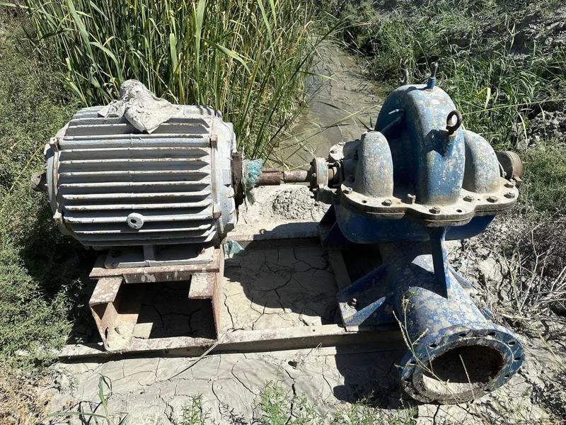Generator korichatkalar
