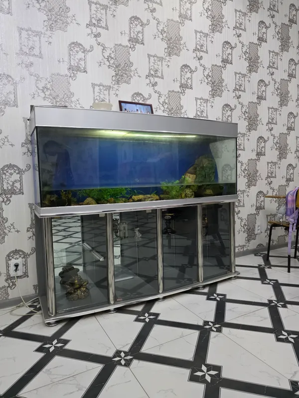 аквариум