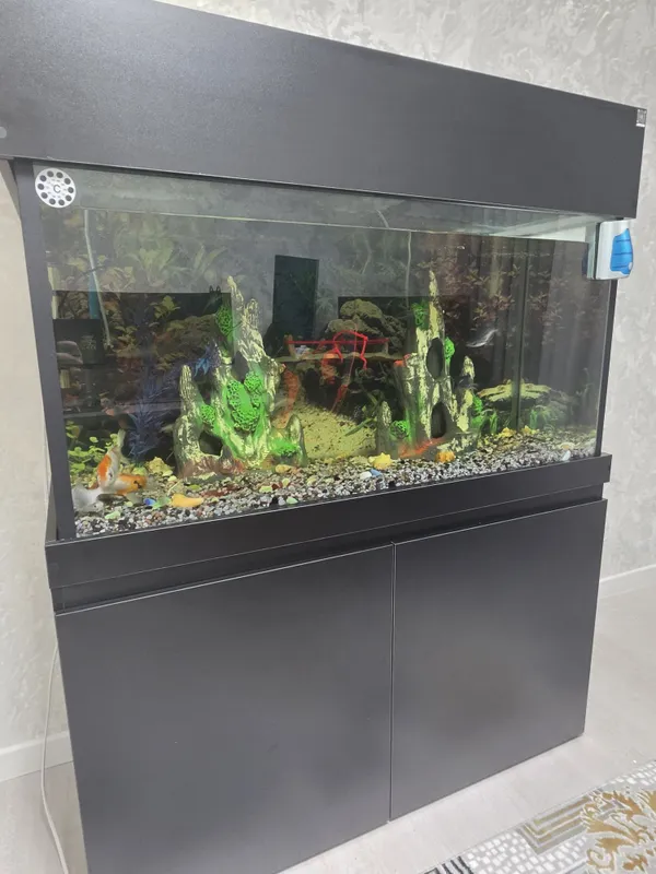 Yangi Akvarium sotiladi ! 2 Yangi Akvarium sotiladi ! 2