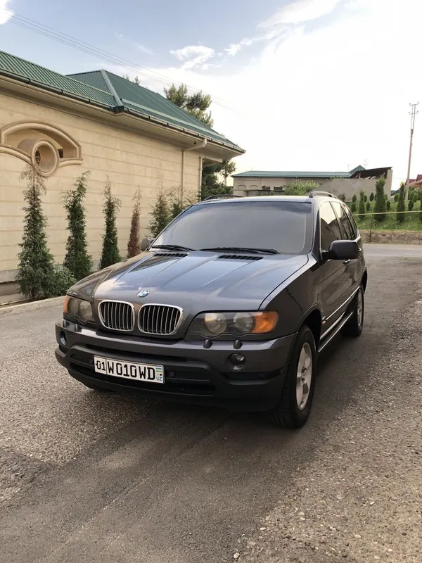 BMW X5 E53 (2001-yil) 2