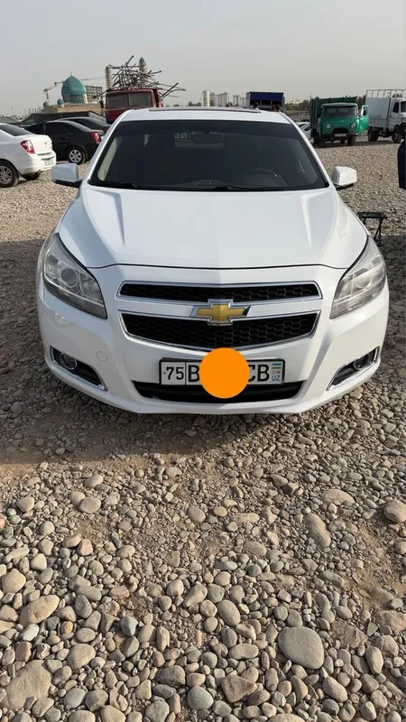 Malibu 1 2013 yil 2 pazitsa lyuki bor 2 Malibu 1 2013 yil 2 pazitsa lyuki bor 2