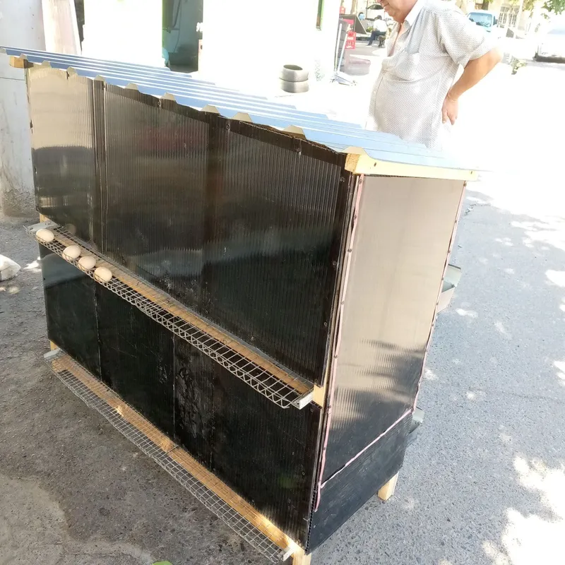 Elitni uylaga Tovuq ini 2 Elitni uylaga Tovuq ini 2