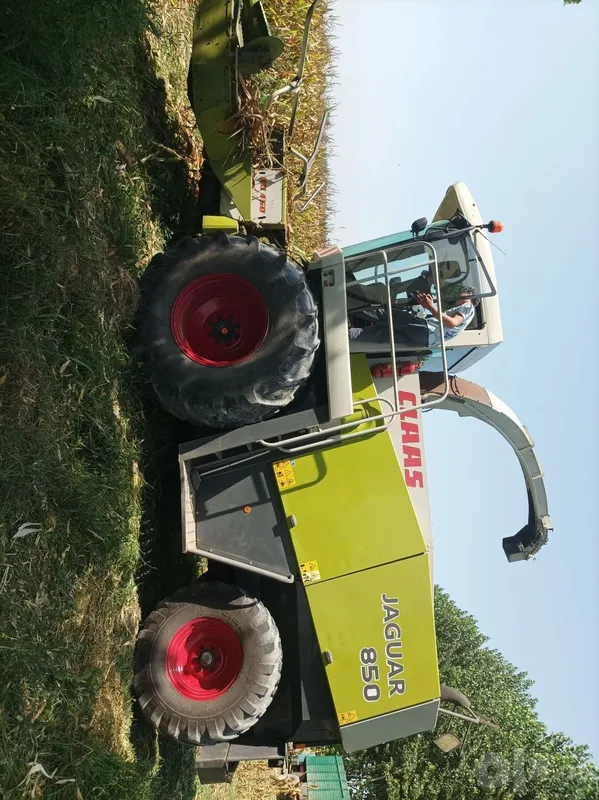 yaguar 850xolati sezonga tayyor2001yil 4 yaguar 850xolati sezonga tayyor2001yil 4
