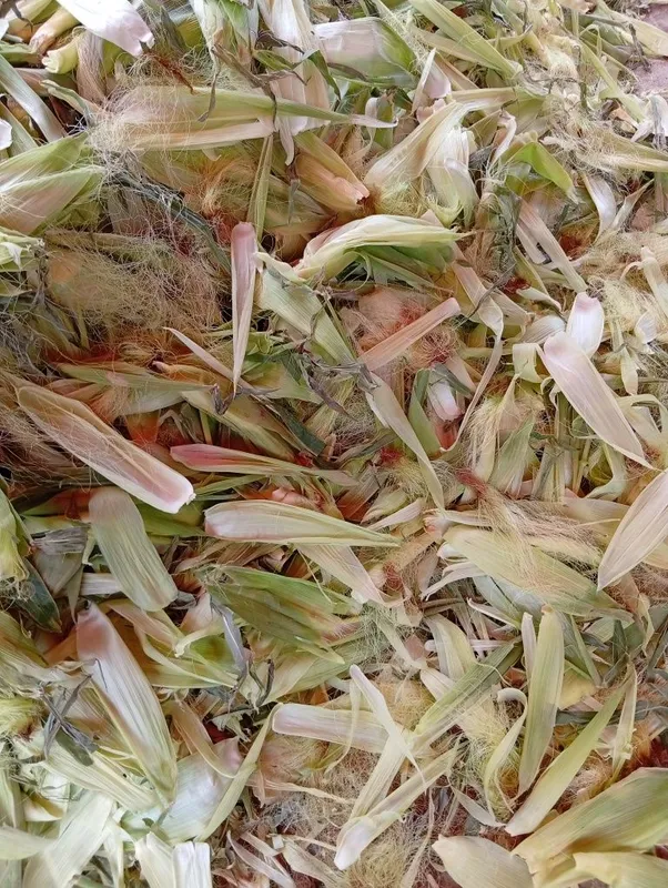 Tekin!!! Joxori pochogi tekin kinga kerak bolsa olib ketilar 2