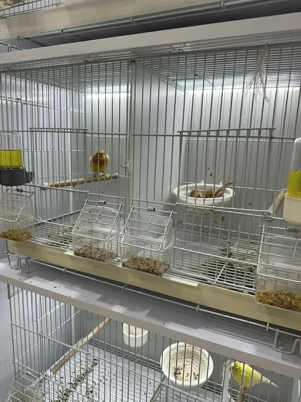 СРОЧНО СОТИЛАДИ Паровка кафас шкаф 3 СРОЧНО СОТИЛАДИ Паровка кафас шкаф 3
