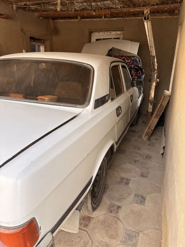 VOLGA 3102 2