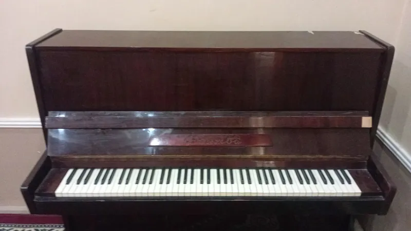 дружба fortapianosi