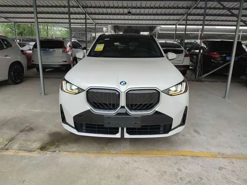 BMW X3 Model, xDrive30L Prestige M Sport Night Package — фото 2