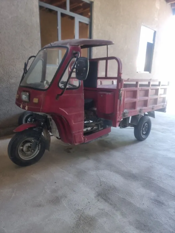 Shancheng 150 g 2 Shancheng 150 g 2