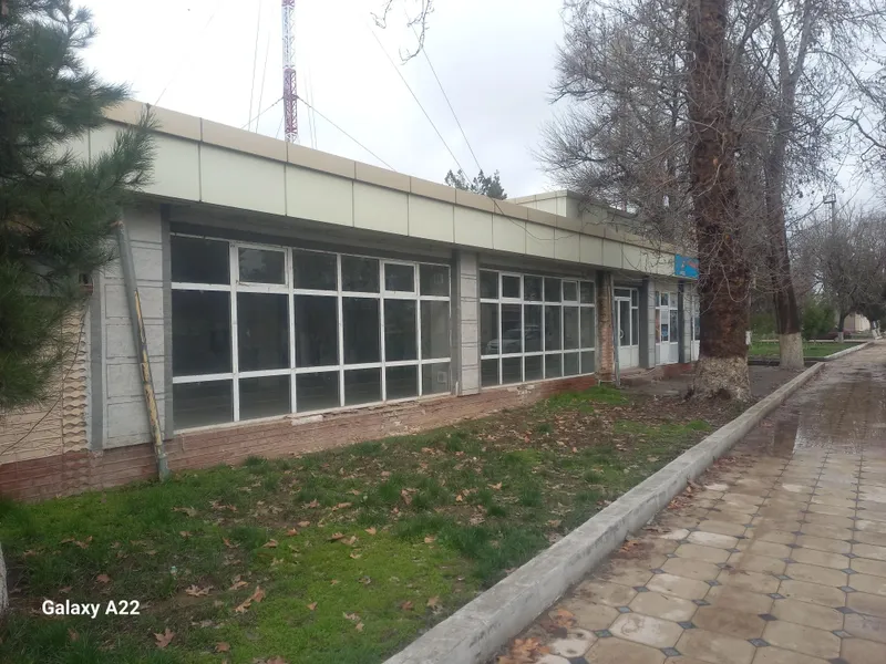 Кафе, докон, ошхона — фото 2