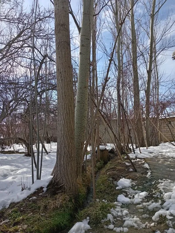 Bustonliq tumani sijjak qishlog'i yer sotiladi — фото 2
