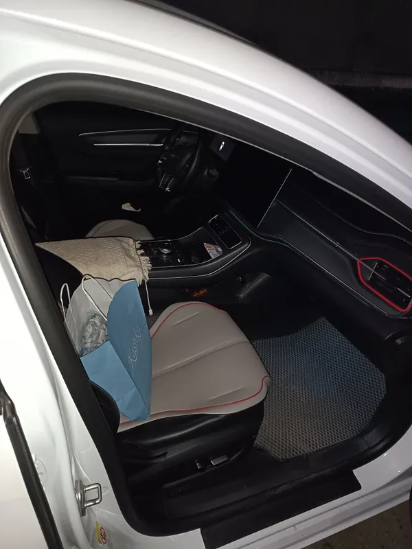 byd chazor GIBRID 5 byd chazor GIBRID 5