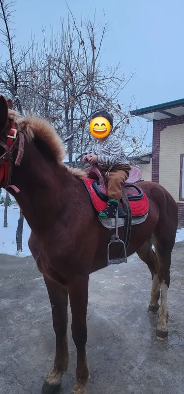 Toy qozoq qirgiz 3 Toy qozoq qirgiz 3