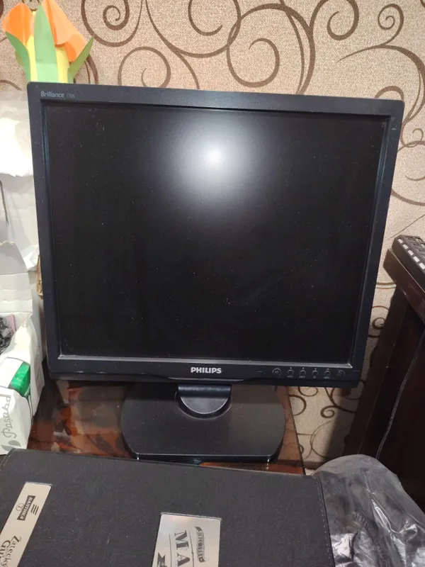 Монитор Philips Brilliance 170S (17 дюймов)