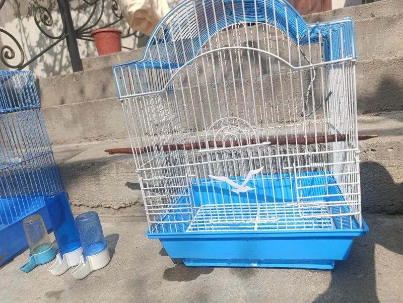Продам клетку состояние нормальное