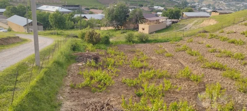 Yer sotiladi srochna 6 Yer sotiladi srochna 6