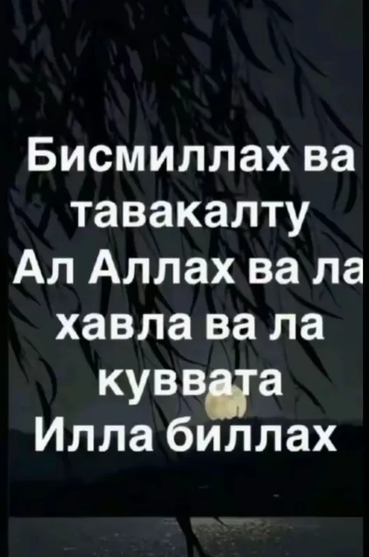 Трезвый водитель самарканд перегон 24/7