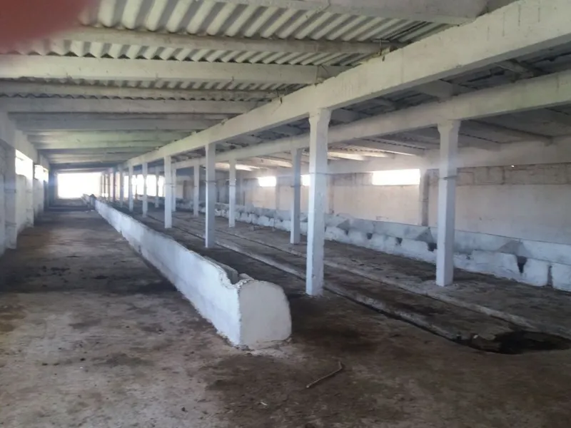 Yer 4.7 gektar molxona kompleks 7 Yer 4.7 gektar molxona kompleks 7