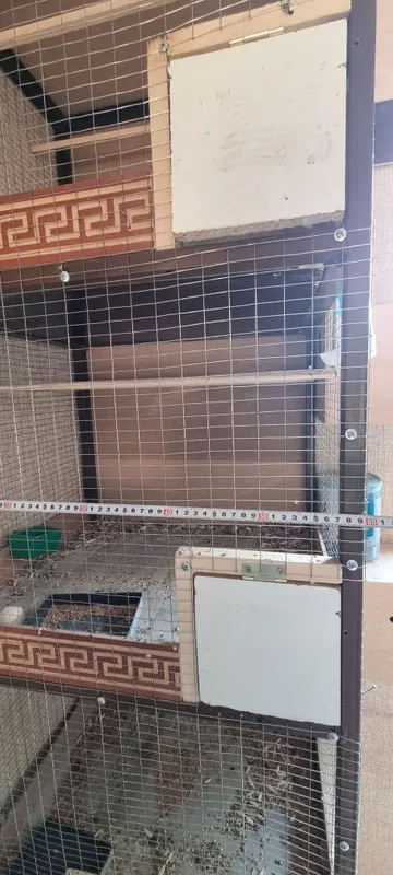 Клетка для птица — фото 4
