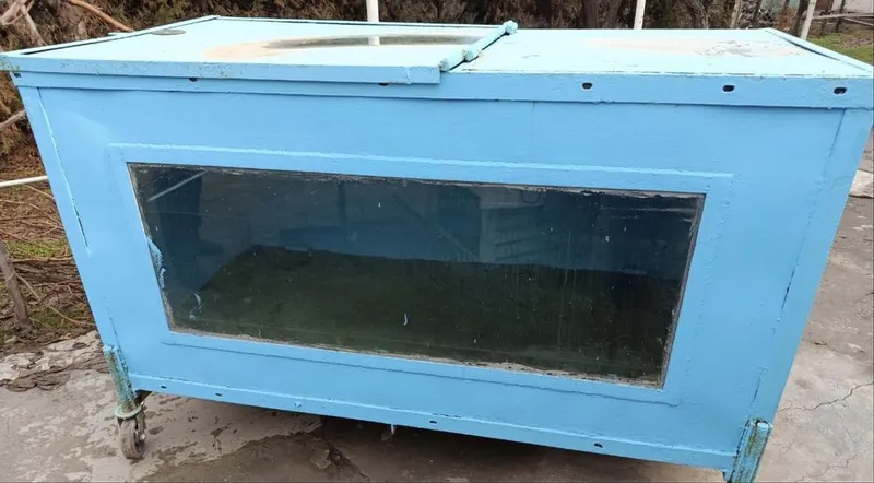 Baliq Akvarium sotiladi 1