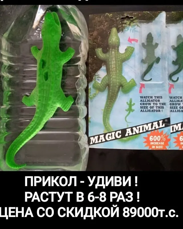 ПРИКОЛ - УДИВИ ! Тайвань.РАСТУЩИЕ крокодилы в 6-8 раз, со ск-кой 89тс