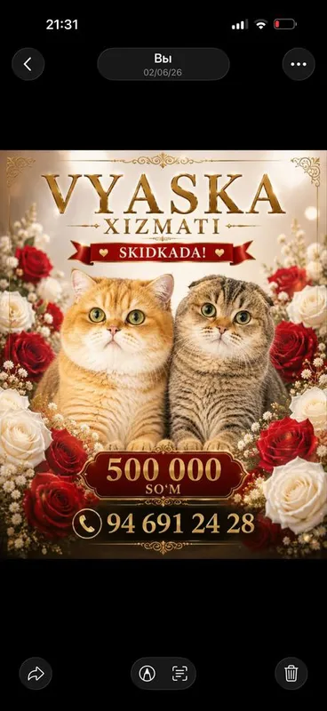 Shinshilla perevaznoy nu 12 vyaska hizmati nu 25 opitniy mushuklar