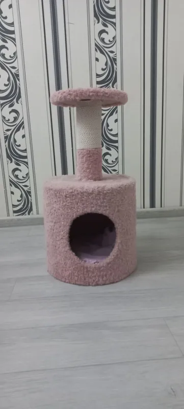 дом для кошек