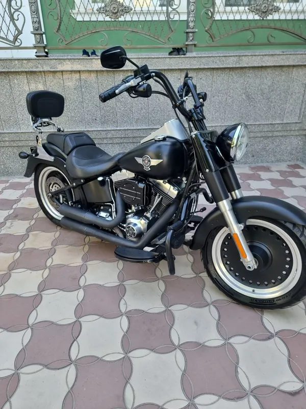 Harley-davidson Fatboy 2014 — фото 1